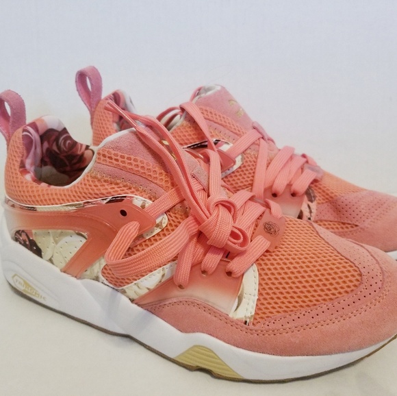 blaze of glory puma rose blaze of glory puma rose